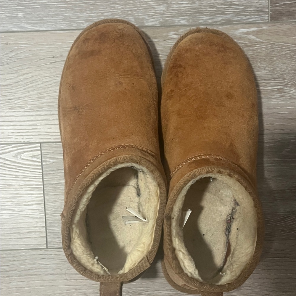 Women’s Mini Uggs Chestnut (9)